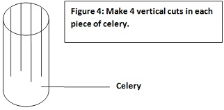 694_Make 4 vertical cuts in each piece of celery.jpg